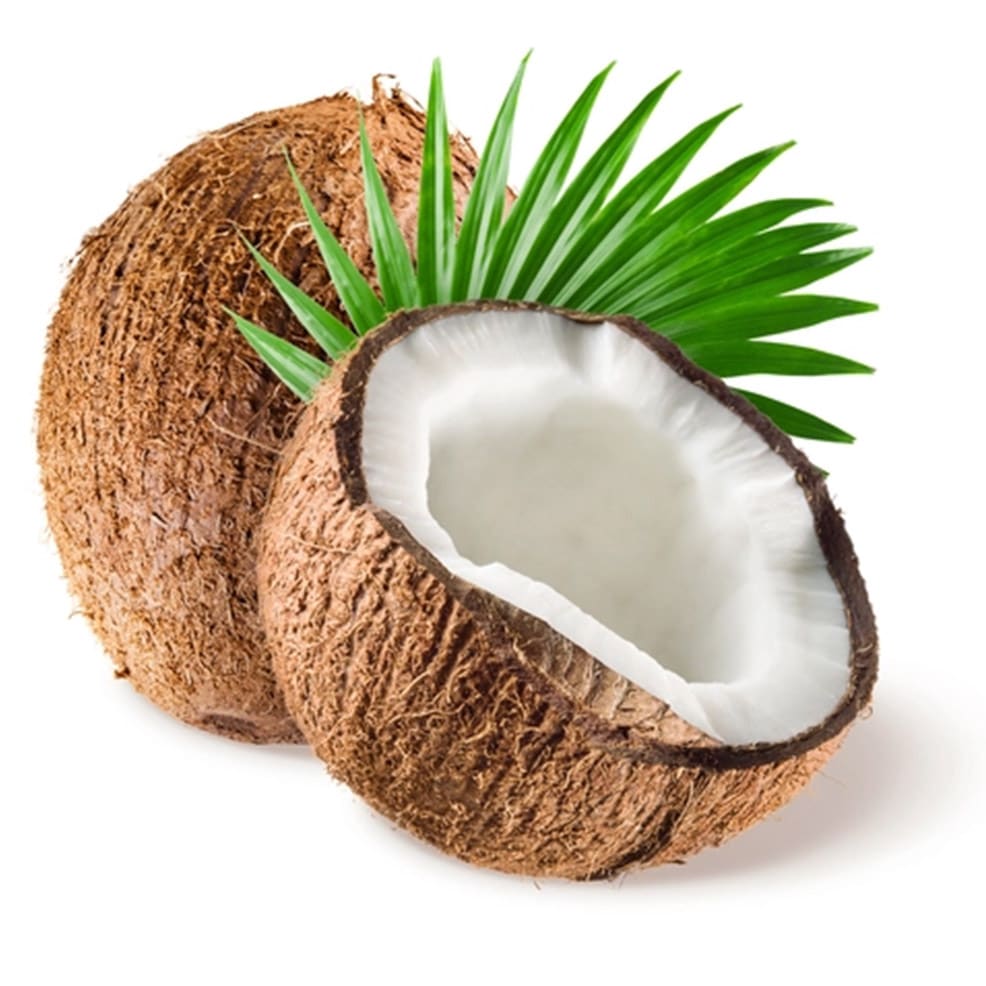 Mix Glace Soft Italienne Noix de coco OGELATO